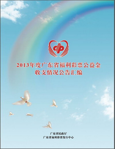 收入证明_福彩中心的收入(2)